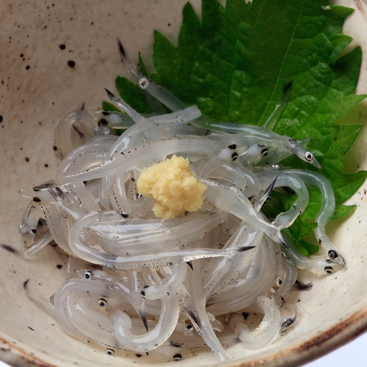 Fresh Japanese Icefish (Shirauo) 新鮮日本銀魚